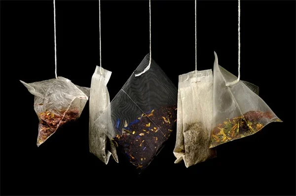 豆のさやが空っぽ！5つの原因と今すぐできる対策