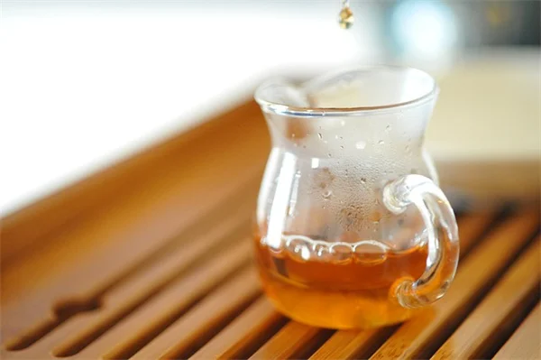 芝生の苔、もう悩まない！プロが教える永久対策5ステップ