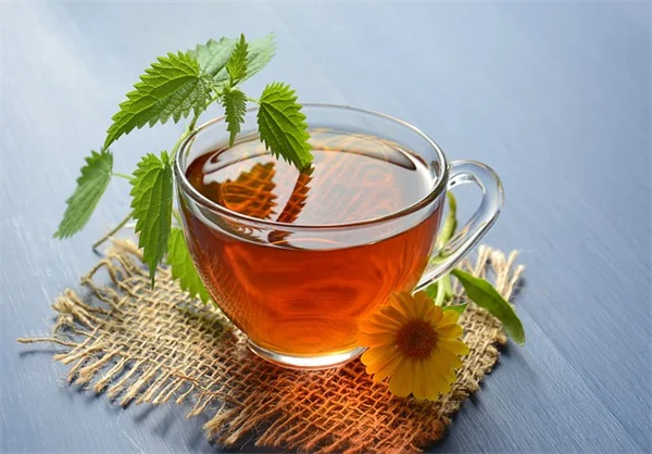 水晶脑菌の見分け方とよくある間違い　実は無害なゼリー菌の知っておきたいポイント
